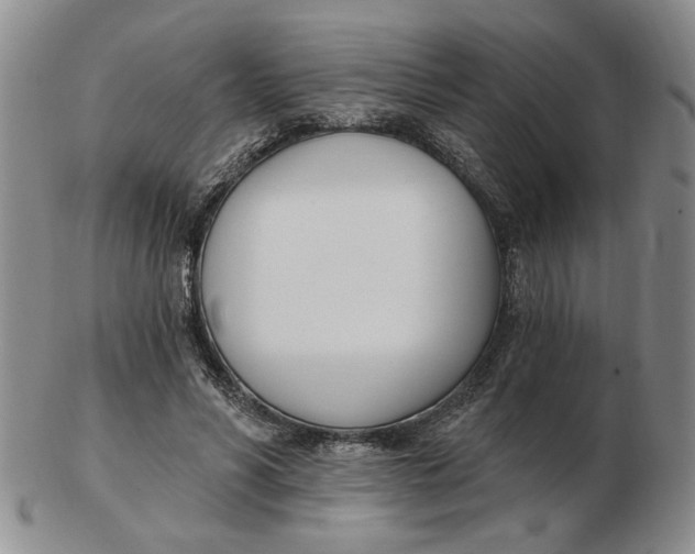 X0000102870590200809081207