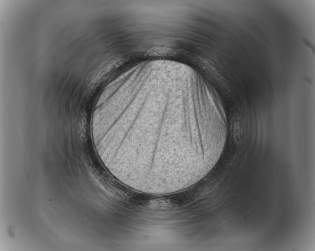 X0000102870591200809081207