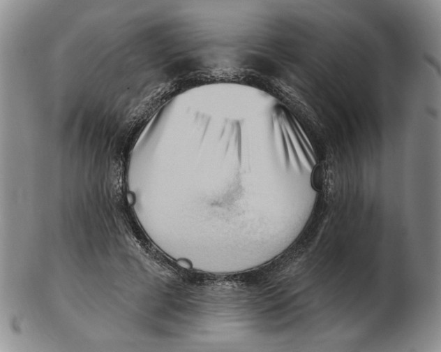 X0000102870593200809081207