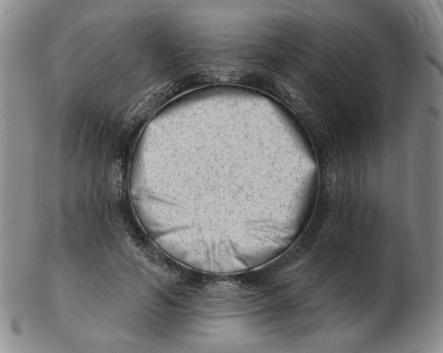 X0000102870594200809081207