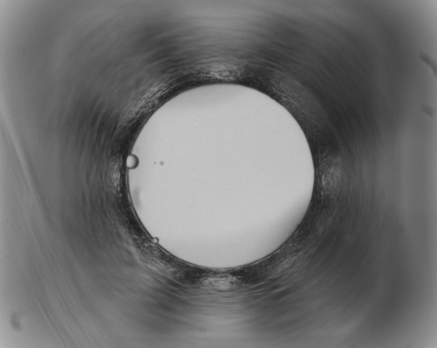 X0000102870595200809081207