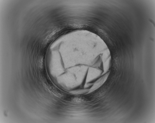 X0000102870596200809081207