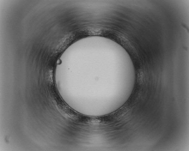 X0000102870598200809081207