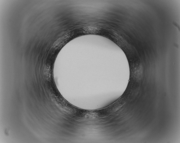 X0000102870599200809081207