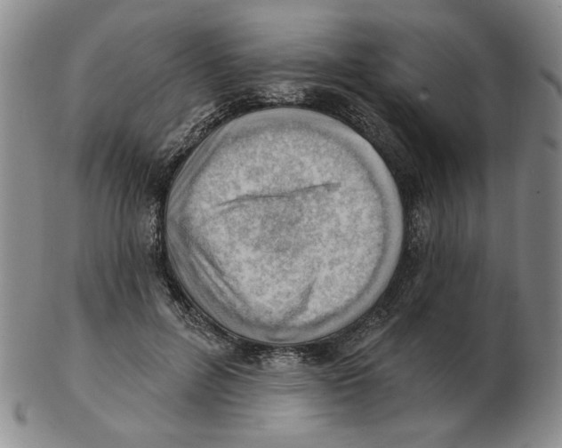 X0000102870600200809081207