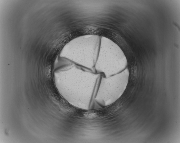 X0000102870602200809081207