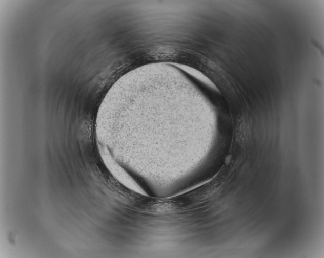 X0000102870604200809081207