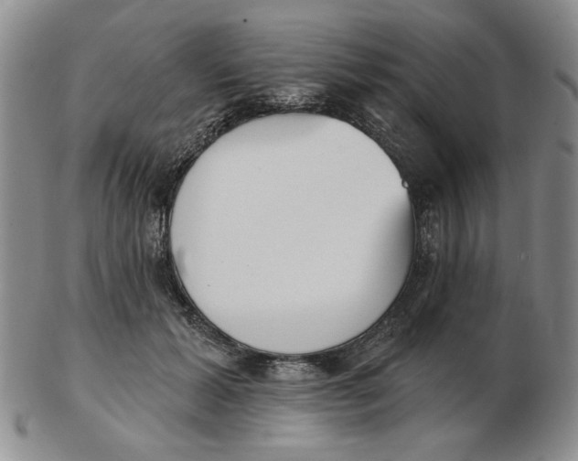 X0000102870605200809081207