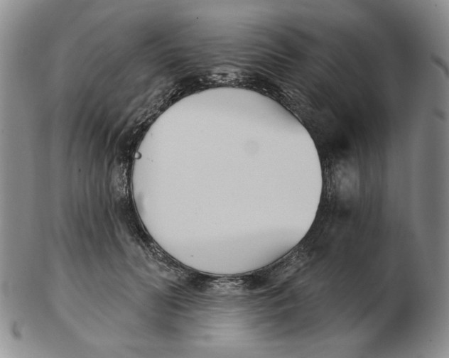 X0000102870606200809081207