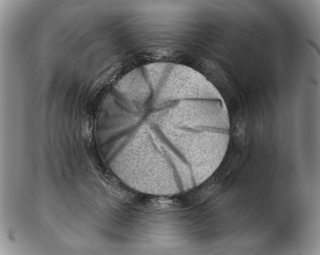 X0000102870607200809081207