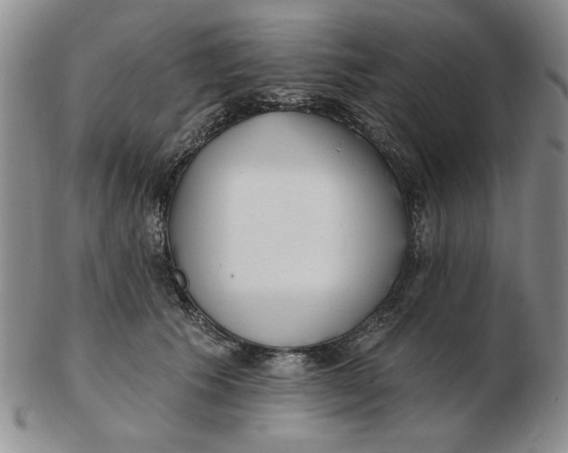 X0000102870609200809081207