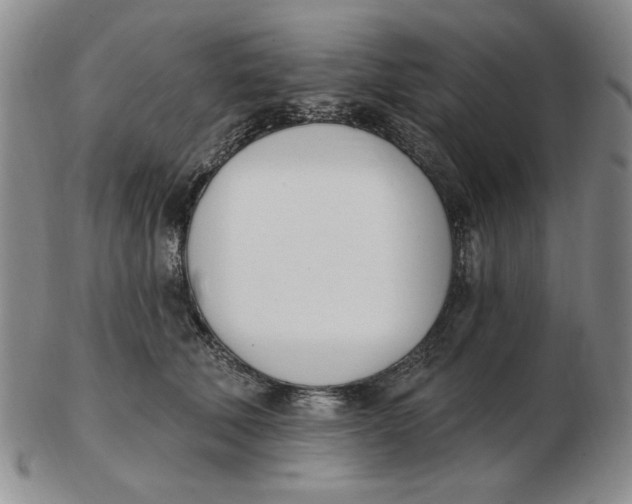 X0000102870610200809081207