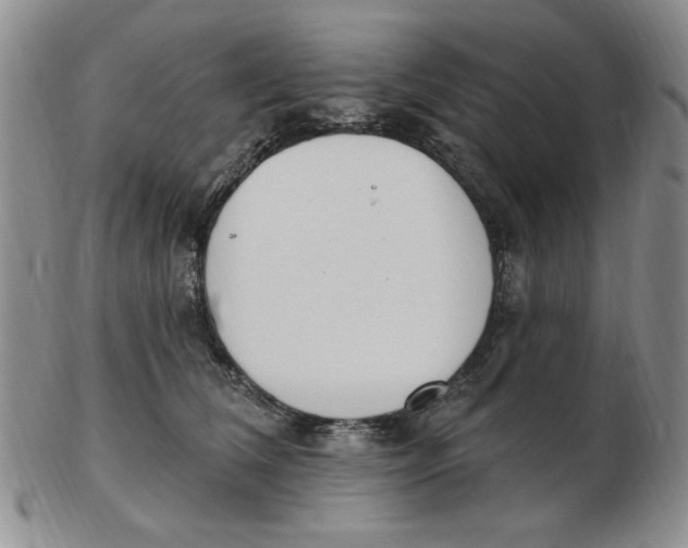 X0000102870612200809081207