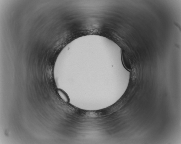 X0000102870613200809081207