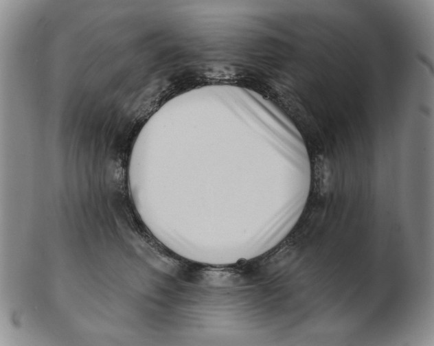 X0000102870614200809081207