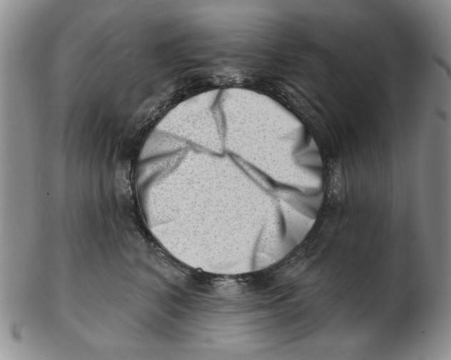 X0000102870616200809081207