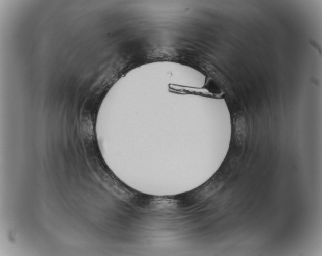 X0000102870617200809081207