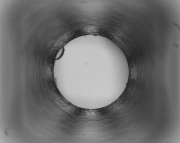 X0000102870618200809081207