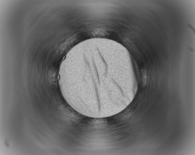 X0000102870619200809081207