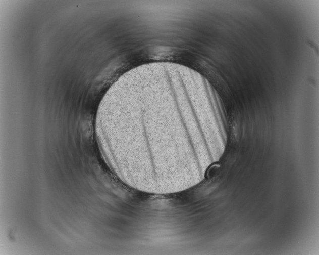 X0000102870620200809081207