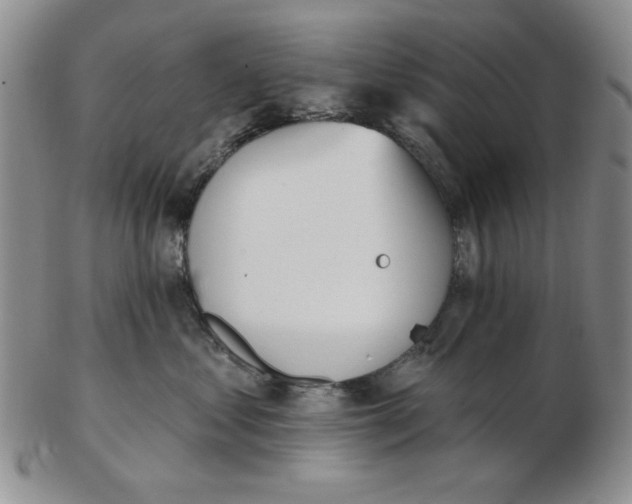 X0000102870621200809081207