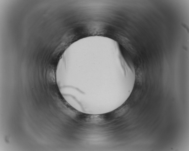 X0000102870622200809081207