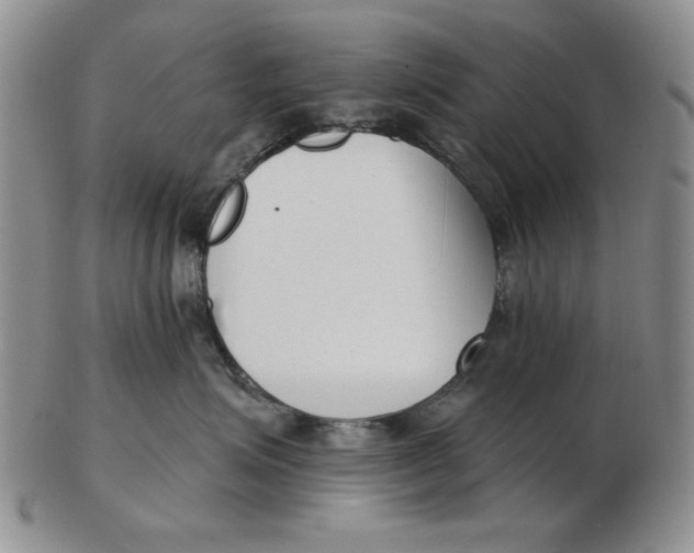 X0000102870623200809081207