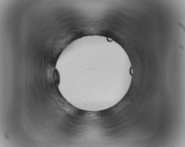 X0000102870624200809081207