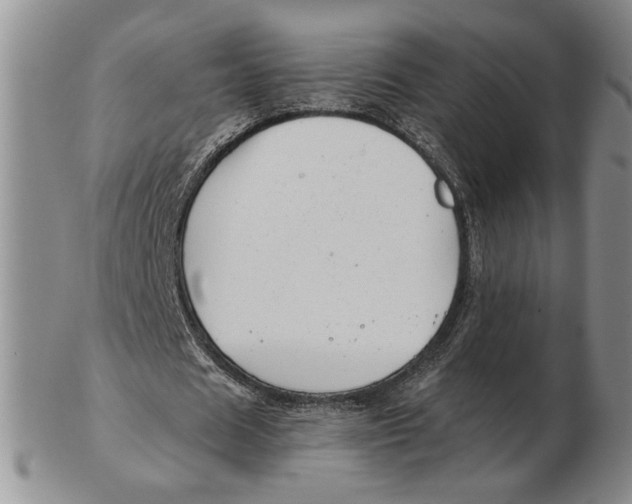 X0000102870625200809081206