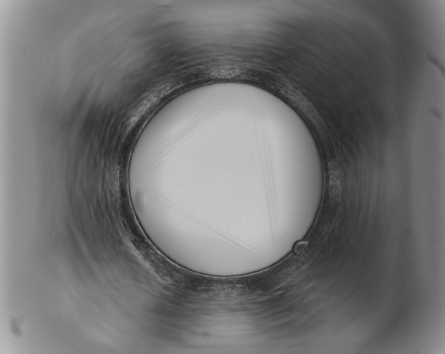 X0000102870626200809081206