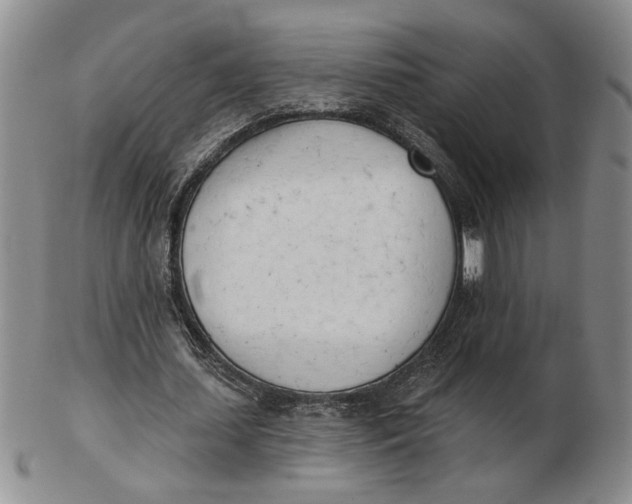 X0000102870627200809081206