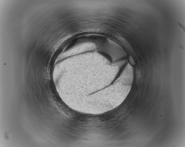 X0000102870628200809081206