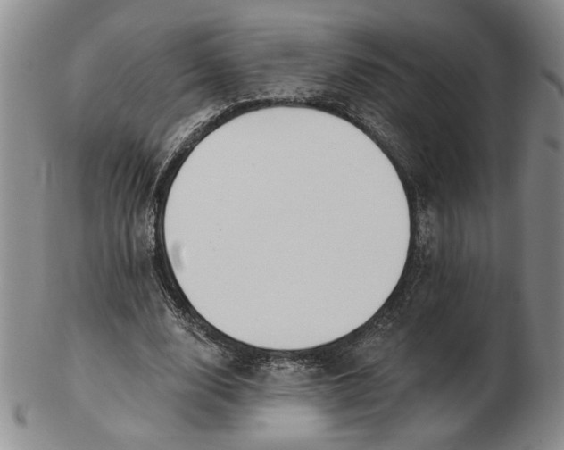 X0000102870632200809081206