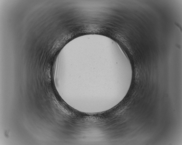 X0000102870633200809081206