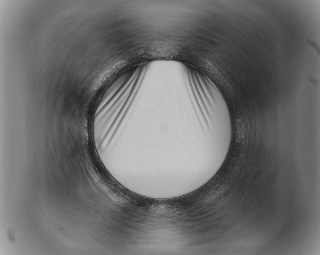 X0000102870634200809081206