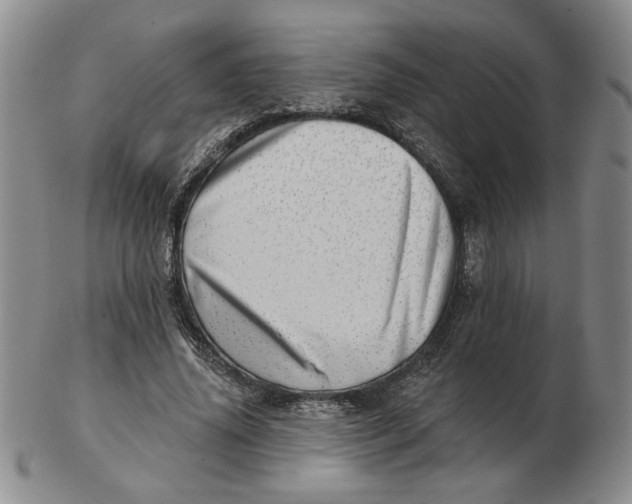 X0000102870636200809081206