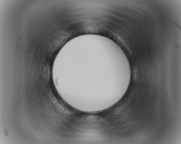 X0000102870637200809081206