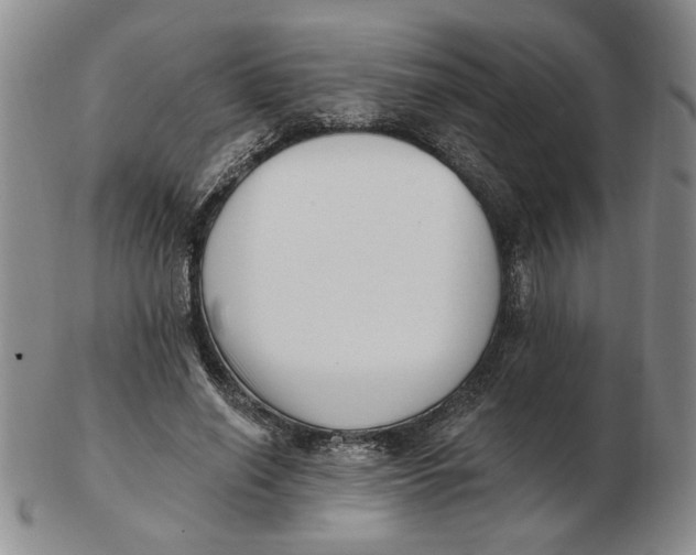 X0000102870638200809081206