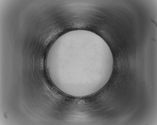 X0000102870640200809081206