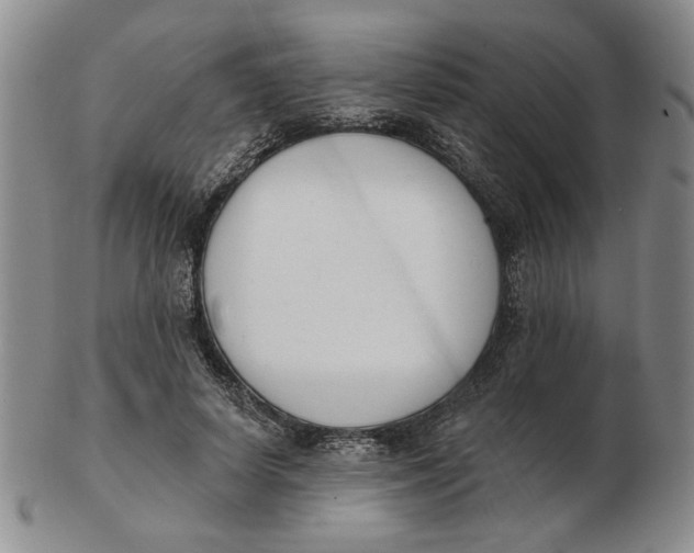 X0000102870642200809081206