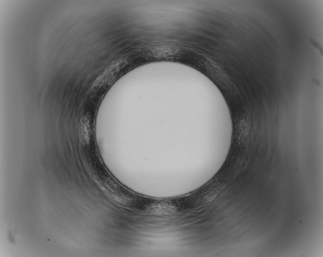 X0000102870644200809081206