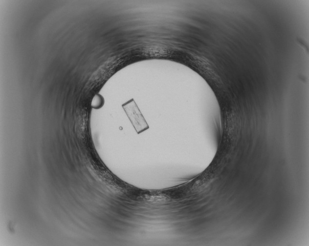 X0000102870645200809081206