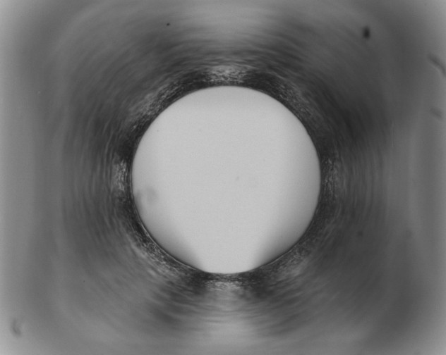 X0000102870649200809081207