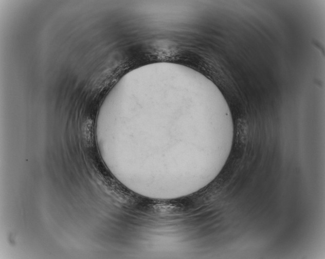 X0000102870650200809081207