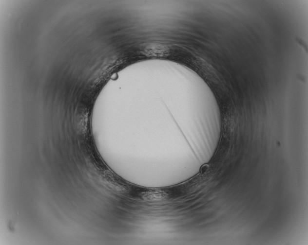 X0000102870652200809081207