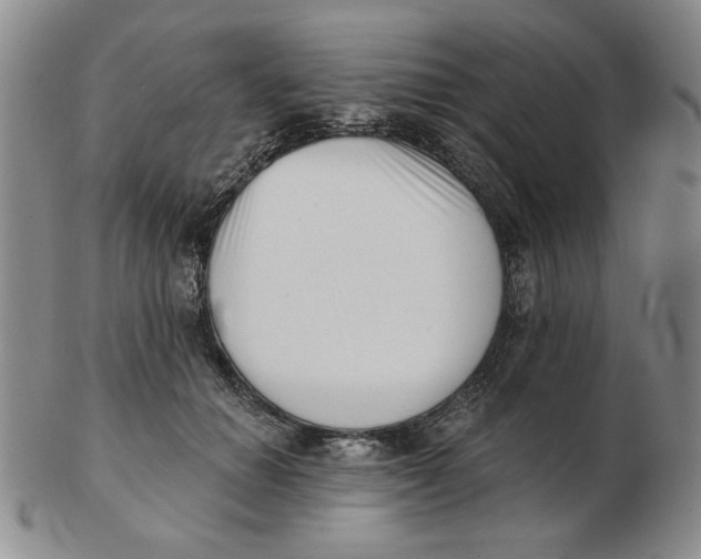 X0000102870654200809081207