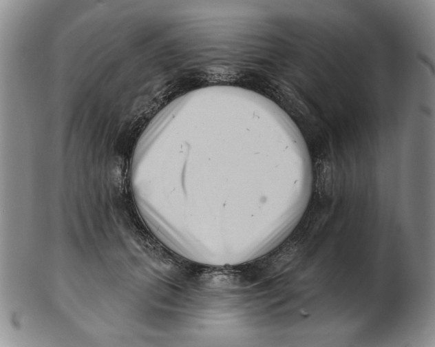 X0000102870655200809081207