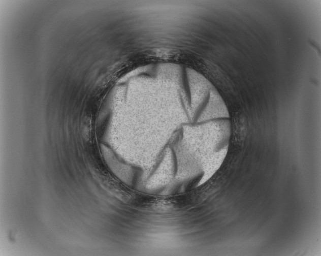 X0000102870656200809081207