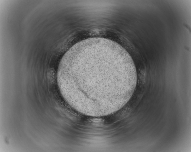 X0000102870659200809081207