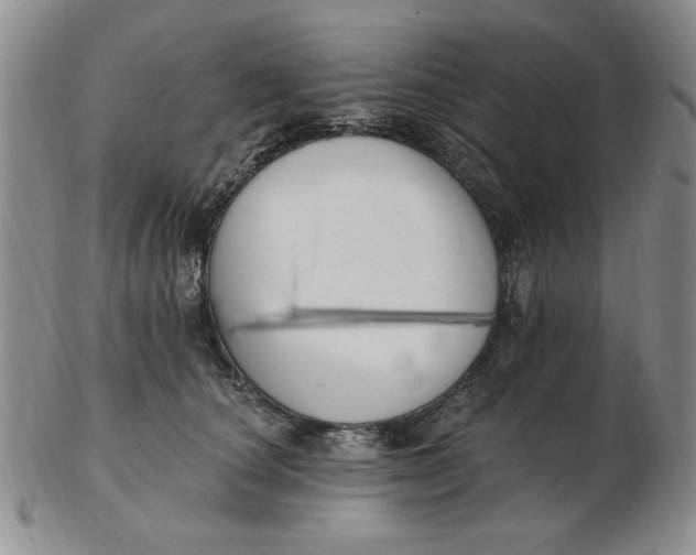 X0000102870660200809081207